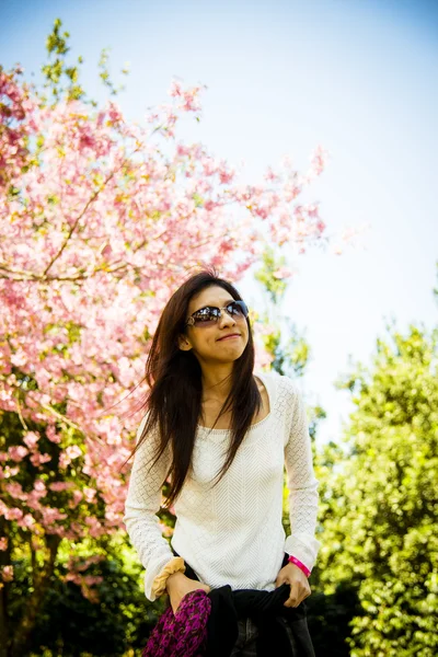 微笑与粉红色的樱桃花 tree2 的女人 — 图库照片