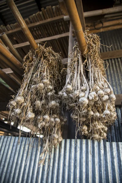 Hanging dried garlic2 — Stock Photo, Image
