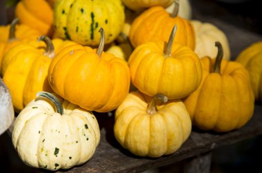 sale2 için balkabağı