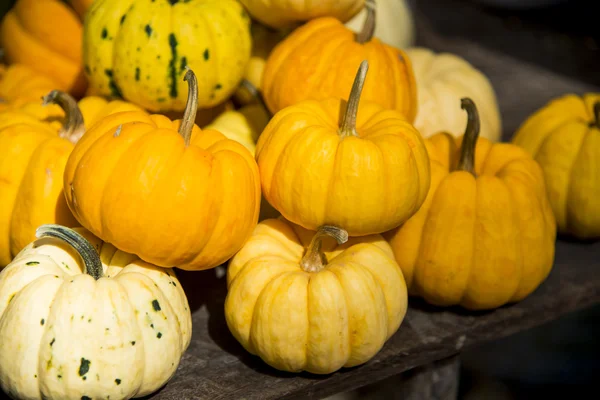 sale1 için balkabağı