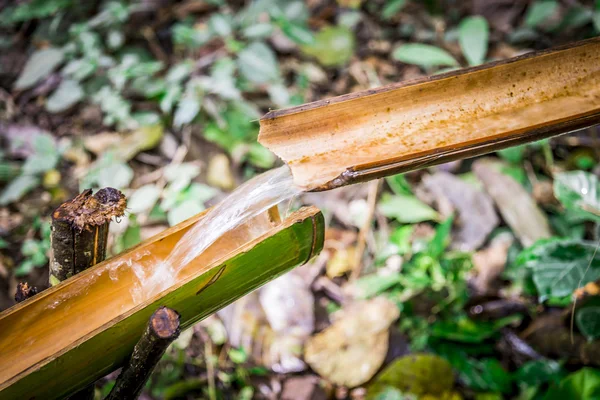 Stříkající vodě z bambusu bamboo2 — Stock fotografie