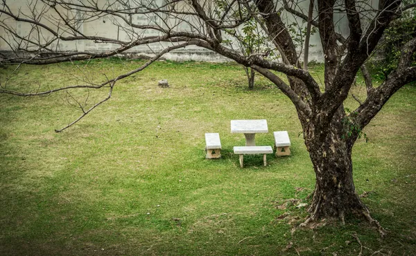 Sedile e tavolo in pietra con albero morto in giardino3 — Foto Stock