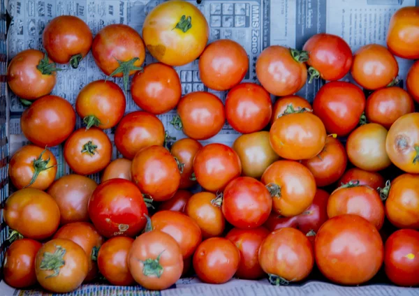 Massor av tomat på newspaper2 — Stockfoto