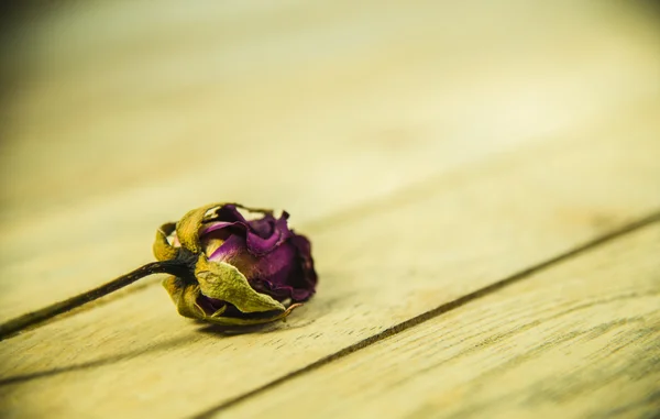 Dried purple rose on wooden floor4 — Stock Photo, Image