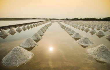 scena fattoria sale in Thailandia con sunset2