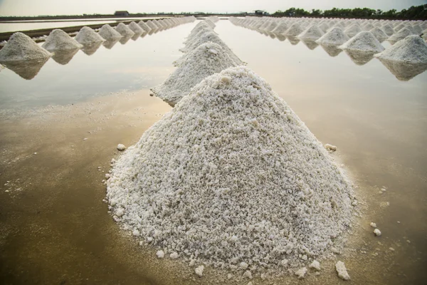 Fila di sale nella salinam3 — Foto Stock