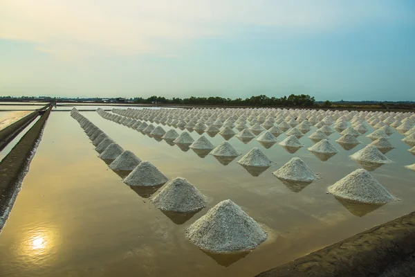 Salt farm scene in Thailand4 — Stock Photo, Image