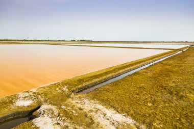 Mavi sky1 ile portakal tuz pan