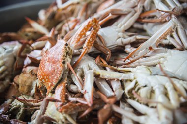 buğulanmış mavi crabs3 bir sürü