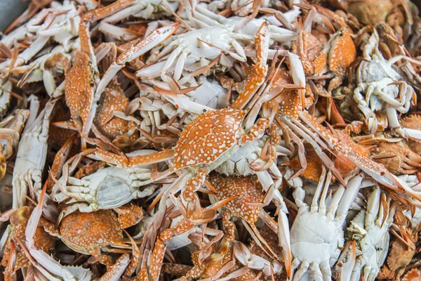 Spousta dušené modrá crabs1 — Stock fotografie