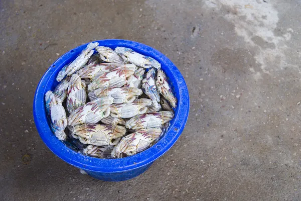 Lots of blue crabs in basket for sale2 — Stock Photo, Image