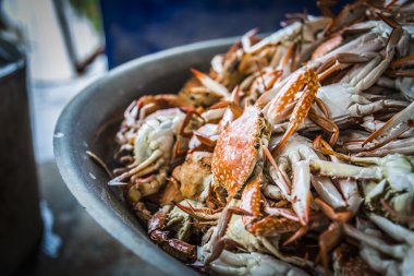 buğulanmış mavi crabs2 bir sürü