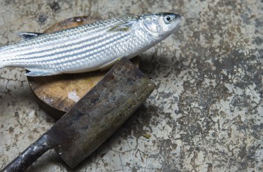 Deniz kefal balığı üzerinde kesme blok knife3 doğrama ile