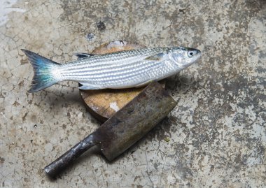 Deniz kefal balığı doğrama bıçağı ile kesme blok üzerinde