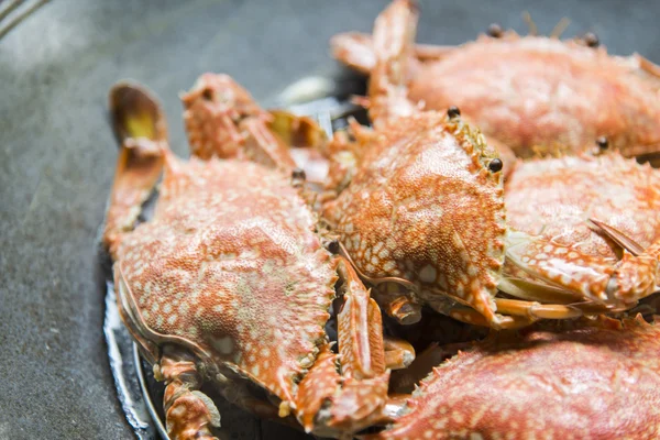 Ångad blå krabbor i pan4 — Stockfoto