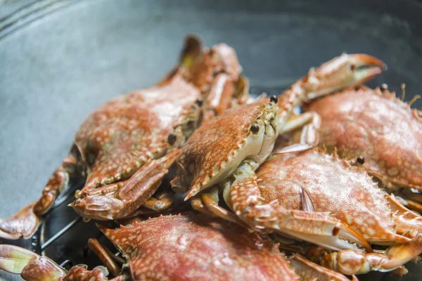 Gestoomde blue krabben in de pan6 — Stockfoto