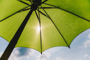 Arkaplan fikri için güneş ışığı ve mavi gökyüzü olan yeşil şemsiye altında karınca görünümü
