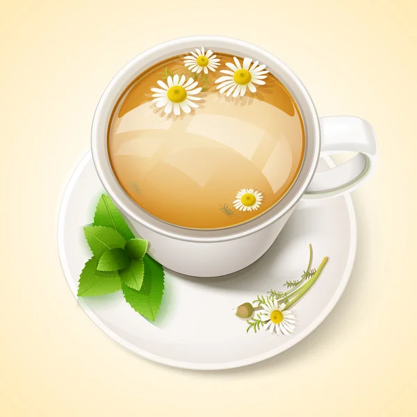 杯洋甘菊茶 — 图库矢量图片