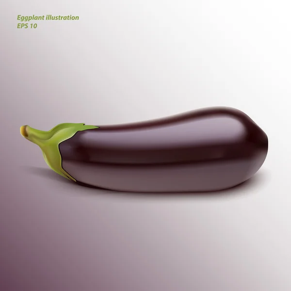 De aubergine. vectorillustratie — Stockvector