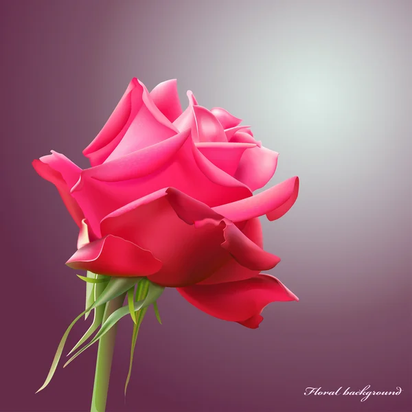 Floral φόντο με τριαντάφυλλο. εικονογράφηση φορέας Εικονογράφηση Αρχείου