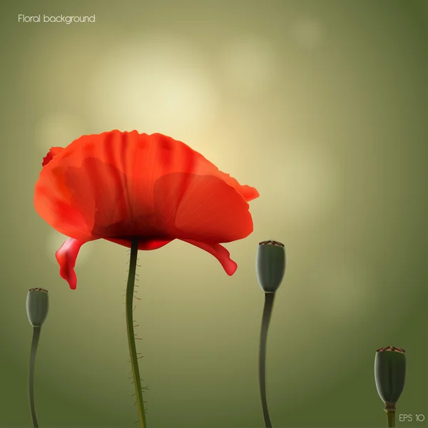 Blommig våren background.poppy.vector illustration. Royaltyfria illustrationer