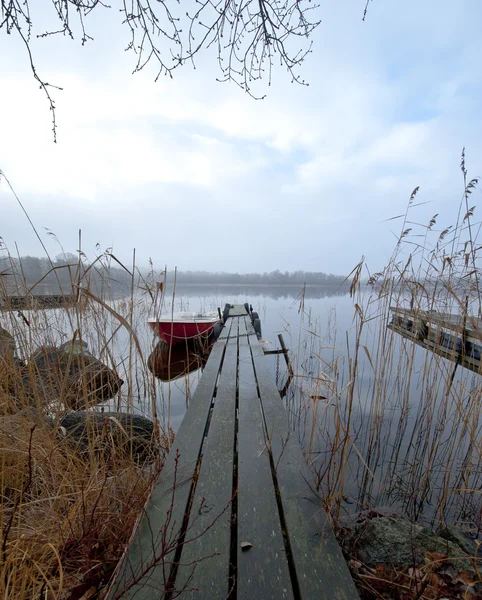 Misty mañana de noviembre en el lago —  Fotos de Stock