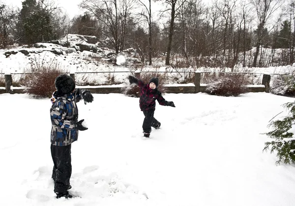 Winter fun — Stock Photo, Image