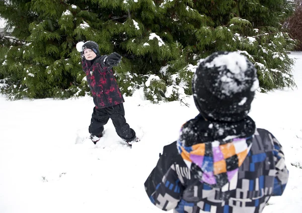 Winter fun — Stock Photo, Image