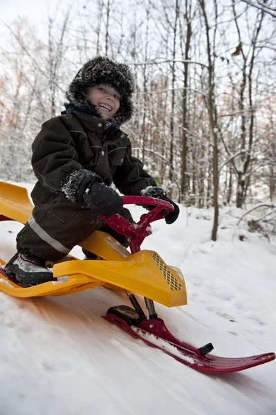 Diversión en trineo de nieve — Foto de Stock