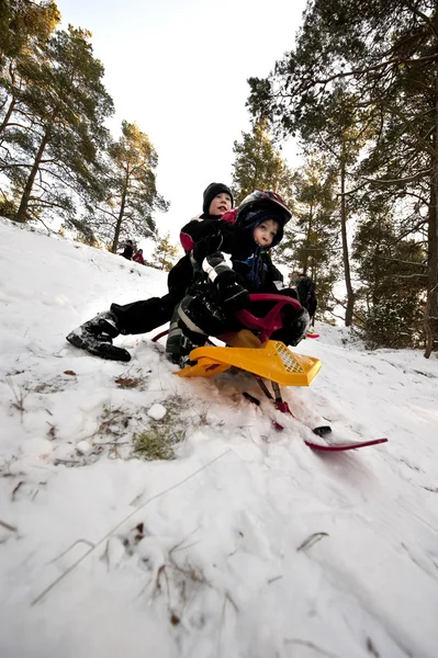 Downhill on a snow sledge — Stock Photo, Image