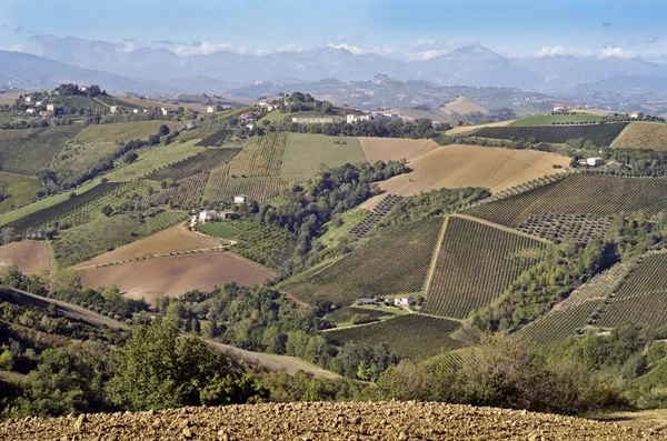 Paisaje de las Marcas, Italia — Foto de Stock