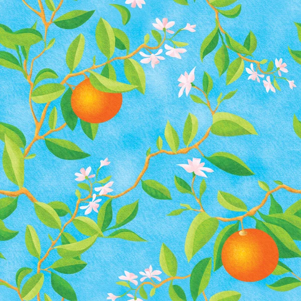 Virágzó narancs — Stock Fotó