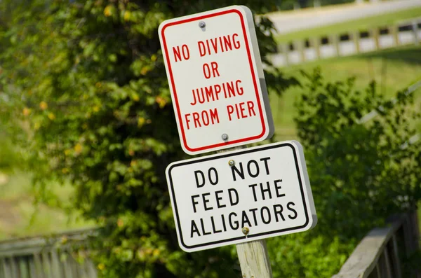 Timsah sokak geçit - Daphne Alabama