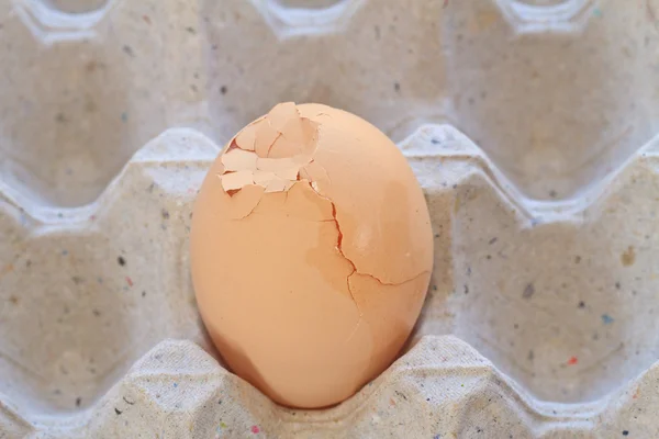 Egg in tray — Stock Photo, Image