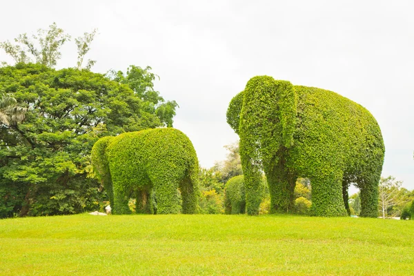 Elephan — Stock fotografie