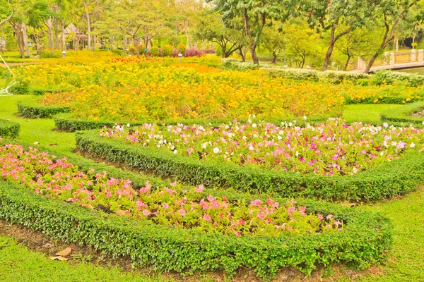 Parque — Fotografia de Stock