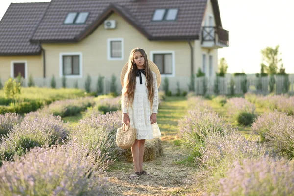 Piękna Dziewczyna Długimi Włosami Polu Lawendy Dziewczyna Idzie Podwórku Swojego — Zdjęcie stockowe