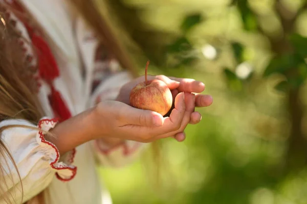 Hand Hand Mit Dem Apfel Apfel Der Hand — Stockfoto