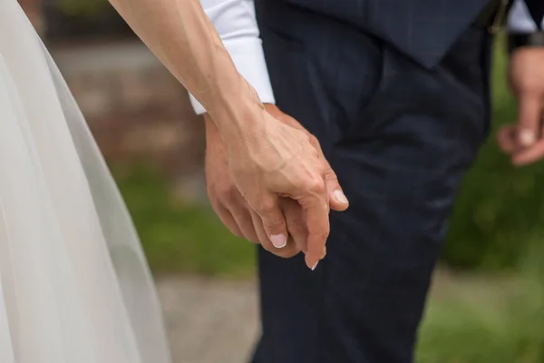 Braut Und Bräutigam Halten Händchen — Stockfoto