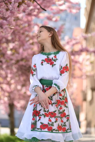 Beautiful Girl Ukrainian Vyshyvanka Ballerina Cherry Blossoms Ballet Street Ukrainian — Fotografia de Stock
