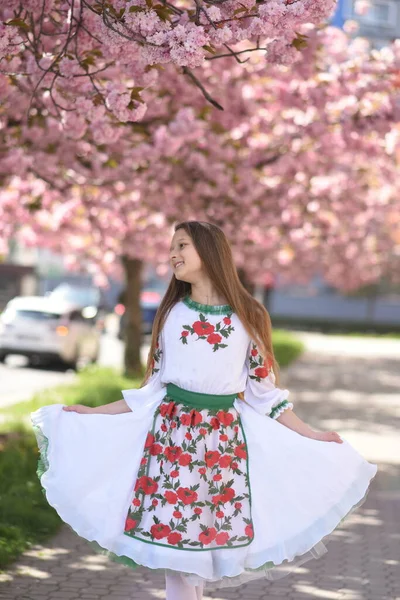 Beautiful Girl Ukrainian Vyshyvanka Ballerina Cherry Blossoms Ballet Street Ukrainian — Fotografia de Stock