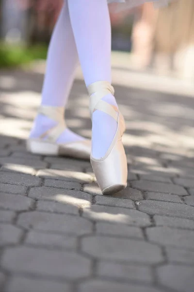 Dance Pointe Shoes Dancing Shoes Dances Spring Ballet Legs Ballerina — Stock Photo, Image