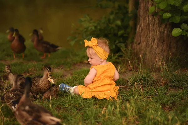 Ein Kleines Mädchen Park Füttert Die Enten Das Kind Spielt — Stockfoto