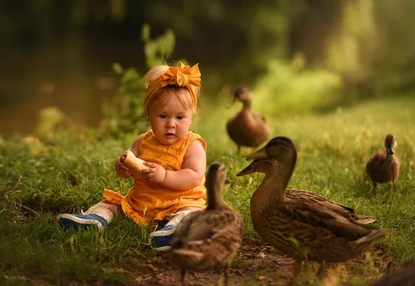 Little Girl Park Feeds Ducks Child Plays Ducks Girl Yellow — Stock Photo, Image