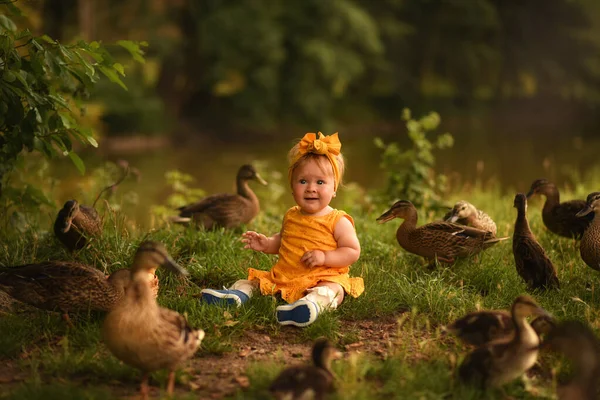 Niña Del Parque Alimenta Los Patos Niño Juega Con Patos — Foto de Stock