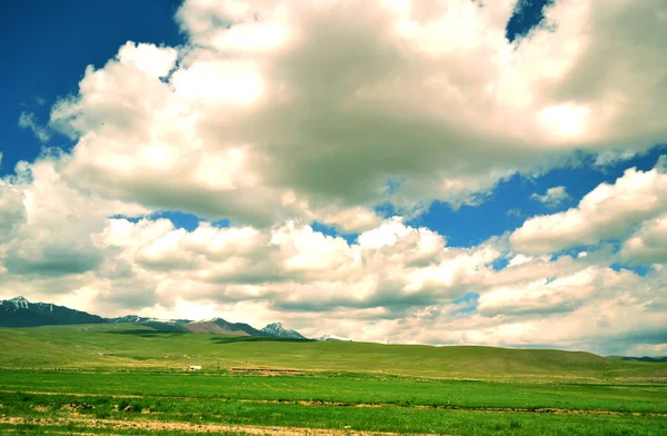 Kyrgystan naturlandskap – stockfoto