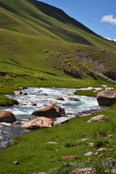 Kirgizische rivier berglandschap — Stockfoto
