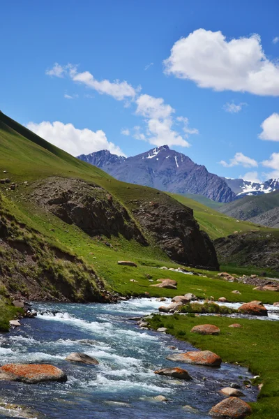 Kirgizisztán természetvédelmi táj Jogdíjmentes Stock Fotók