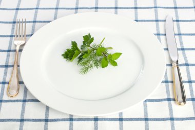 diyet kavramı (maydanoz, dereotu, nane plaka)