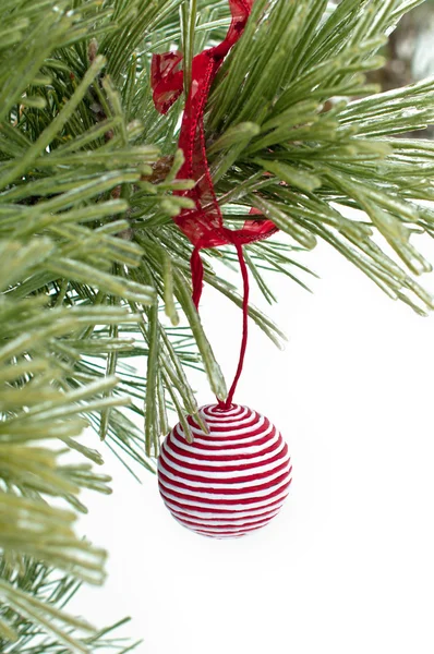 Red and white christmas ball on the pine branch Royalty Free Stock Photos